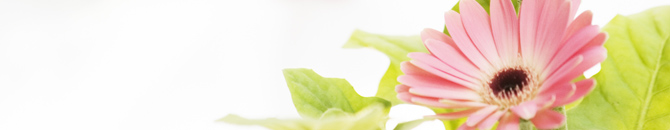 当たる電話占い師・霊能者の選び方